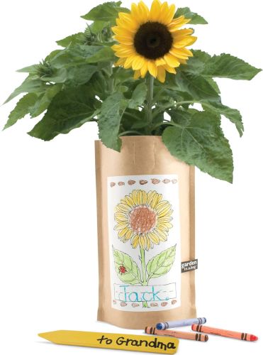 Sunflower Garden in a Bag Kids’ Kit