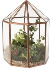 Gazebo Tabletop Terrarium